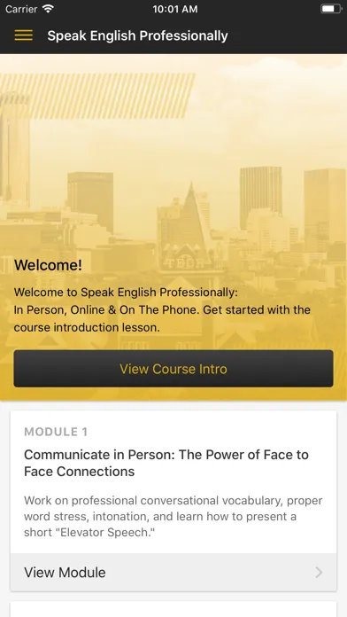 ภาพหน้าจอของ Speak English Professionally