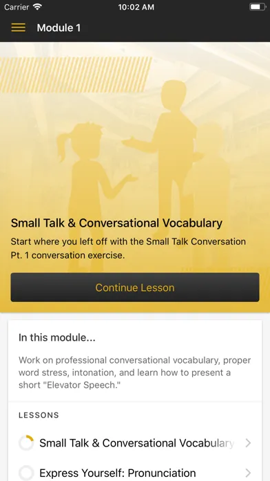 ภาพหน้าจอของ Speak English Professionally