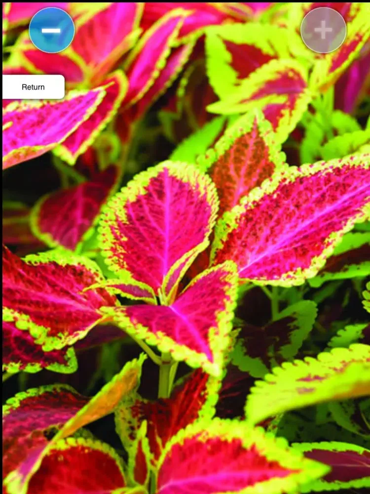 Capturas de pantalla de Gardener's Corner iPad 
