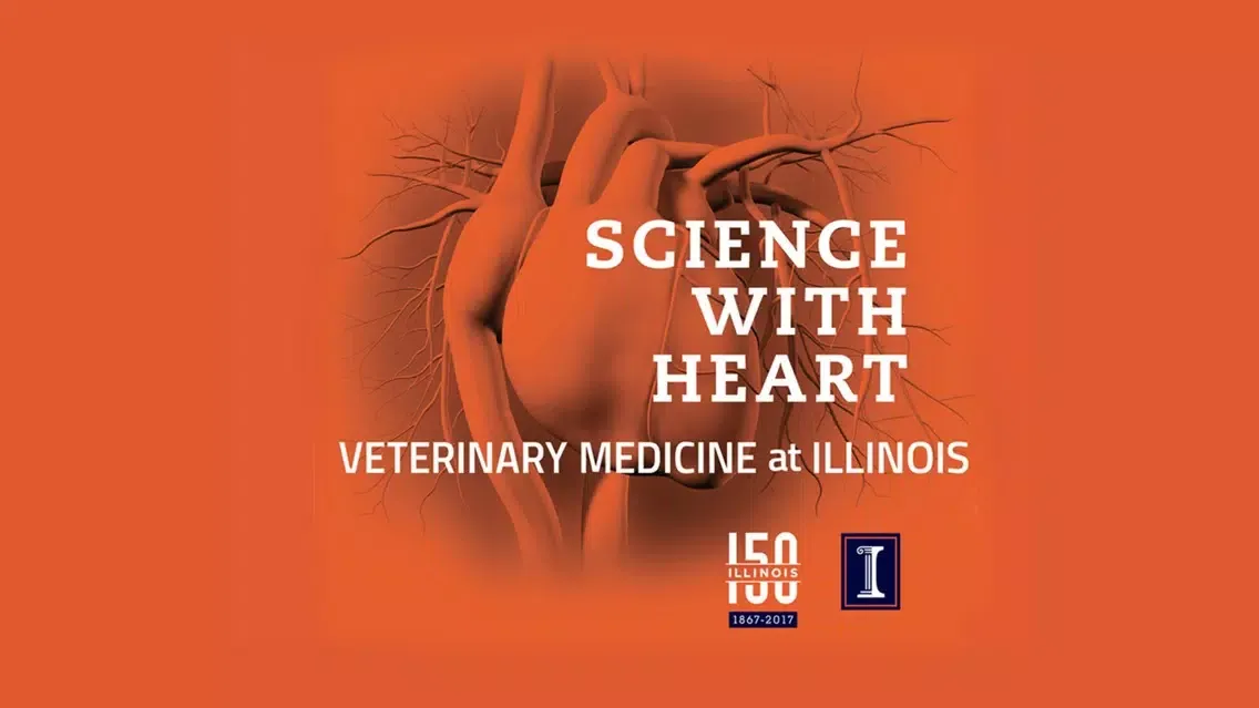 Illinois 3DVM سکرین شاٹس