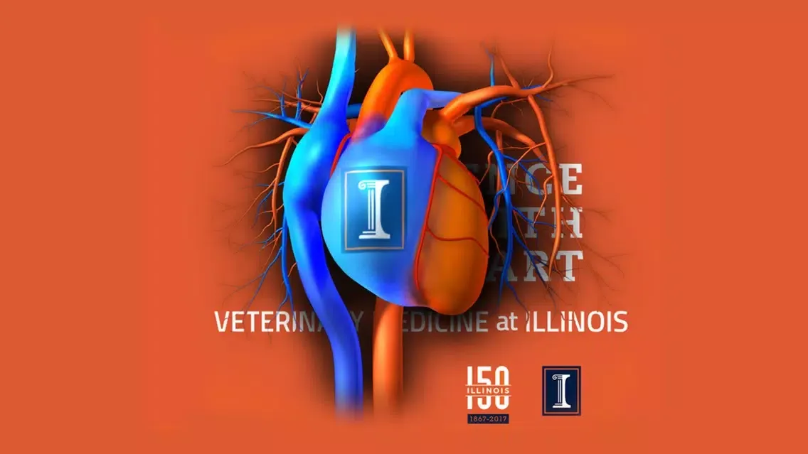 Illinois 3DVM سکرین شاٹس