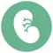 KidneySpace