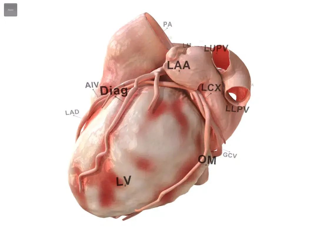 HeartVoyager iPad  스크린샷