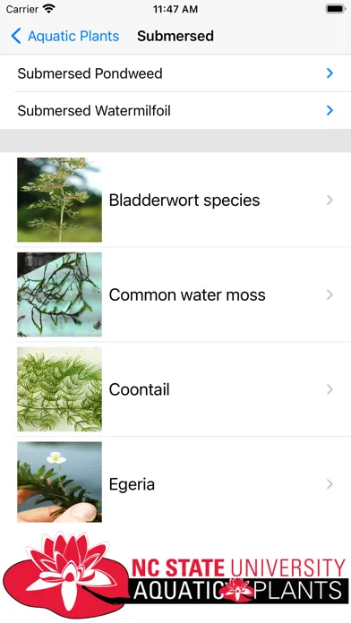 Aquatic Plants 스크린샷