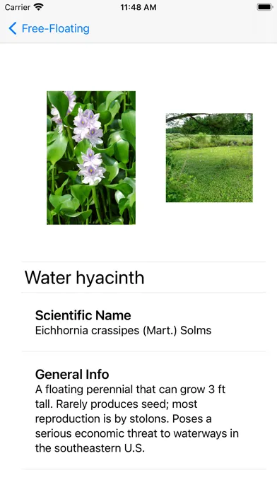 Aquatic Plants 스크린샷