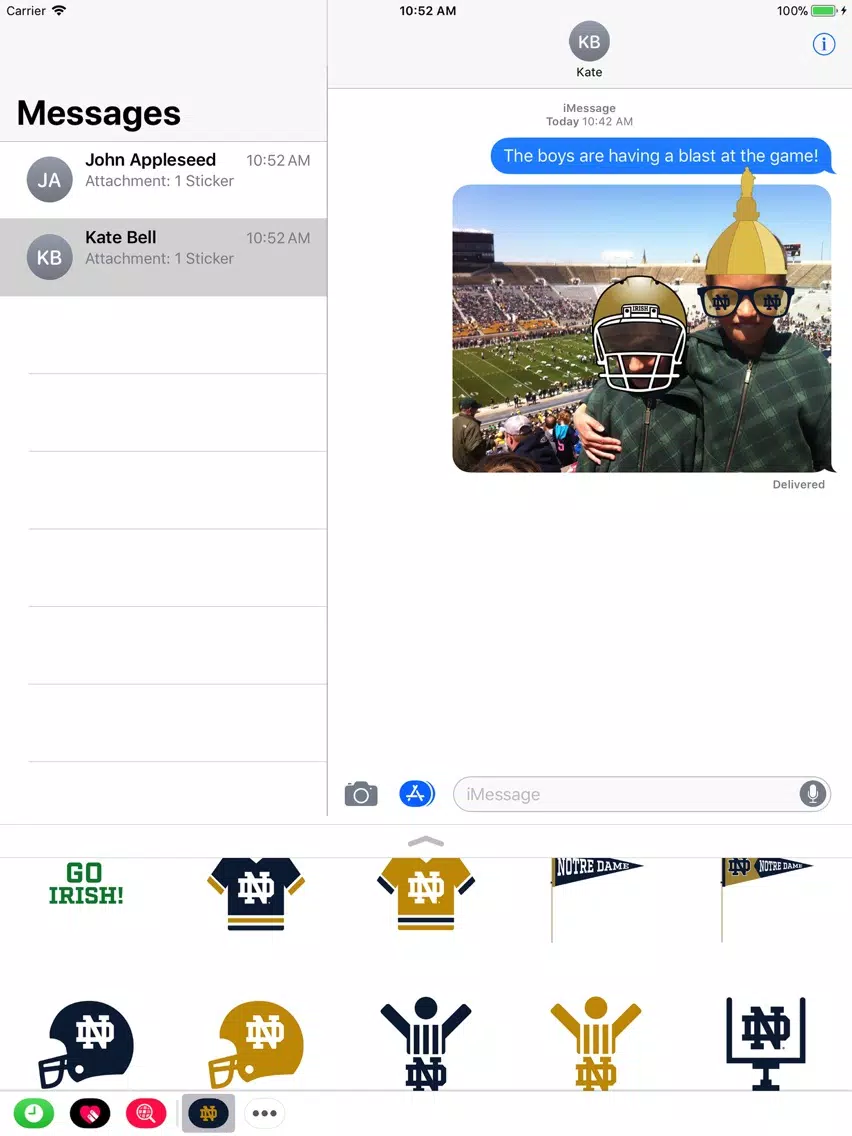 Notre Dame Stickers iPad  سکرین شاٹس