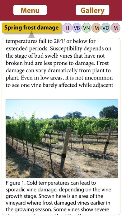 Vineyard Growth Screenshots