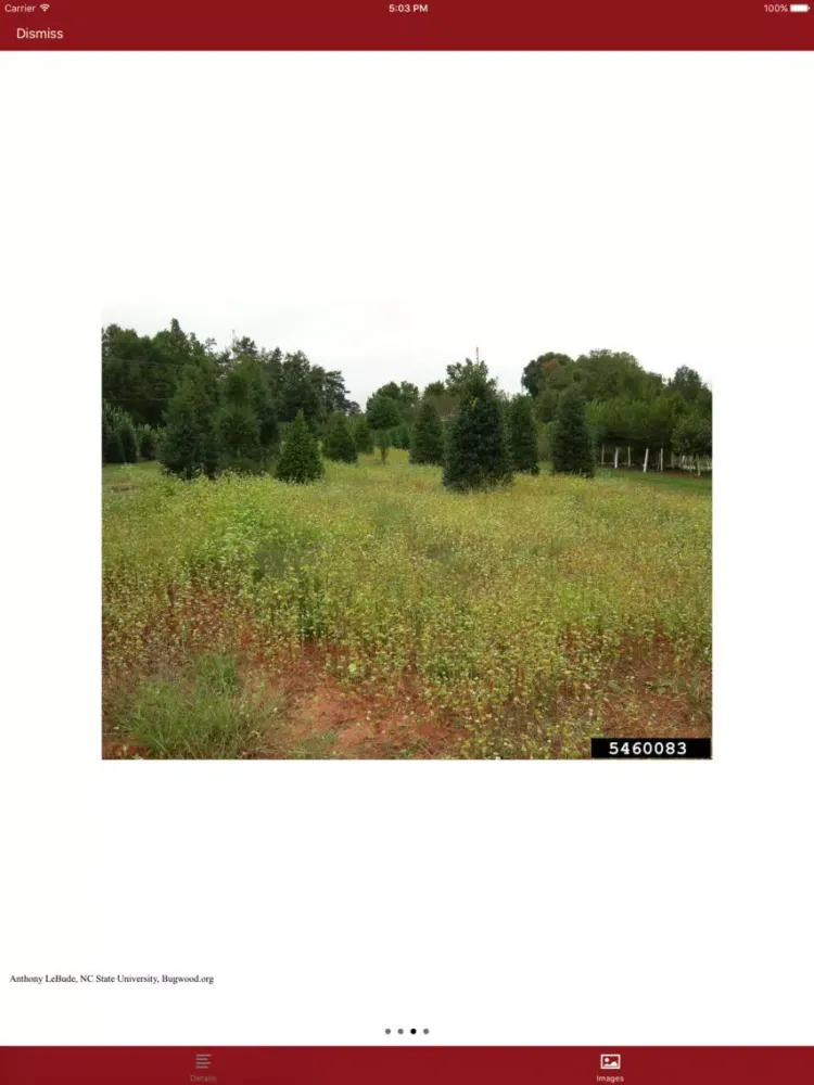 Capturas de pantalla de Good Bugs + iPad 