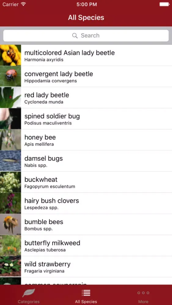 Capturas de pantalla de Good Bugs +