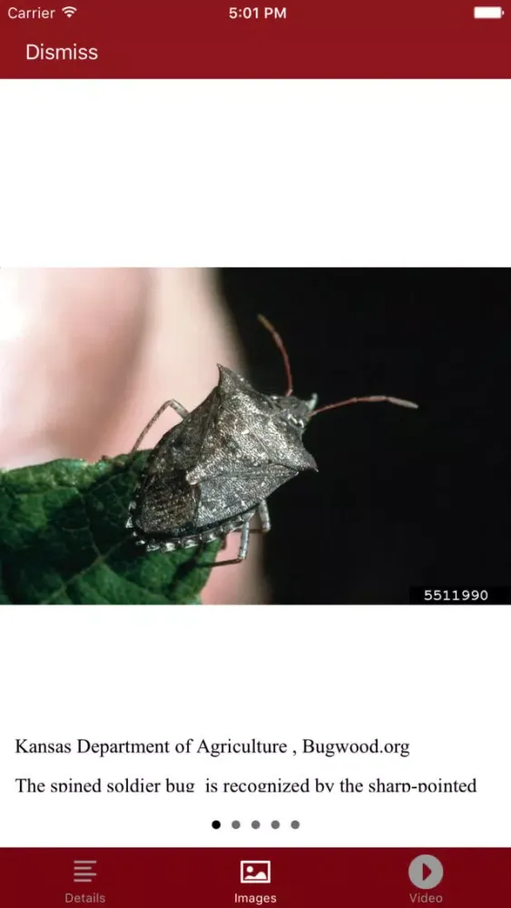 Capturas de pantalla de Good Bugs +