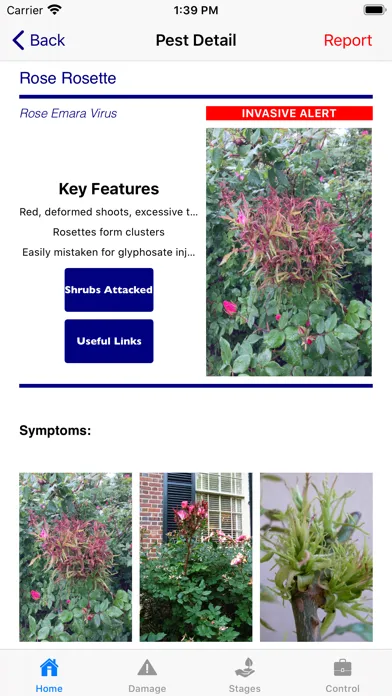 صور Purdue Shrub Doctor