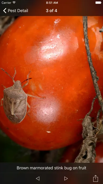 Ảnh chụp màn hình của Purdue Tomato Doctor