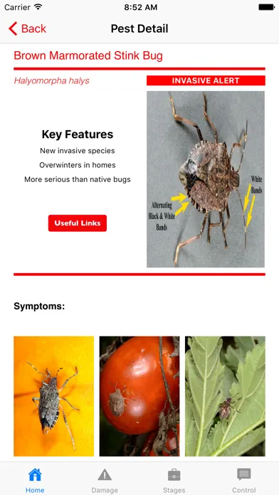 Ảnh chụp màn hình của Purdue Tomato Doctor