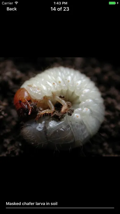 Capturas de tela do Purdue Turf Doctor