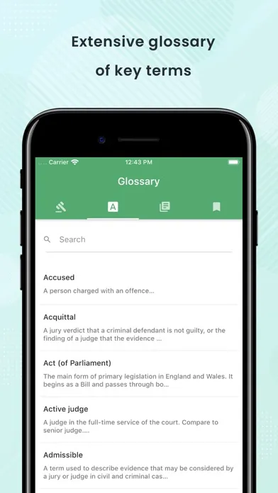 Screenshot di Pocket Law Guide: Criminal