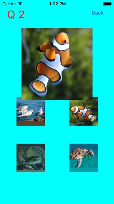 Captures d'écran de Which Is The Same Fish? for Clownfish and Friends