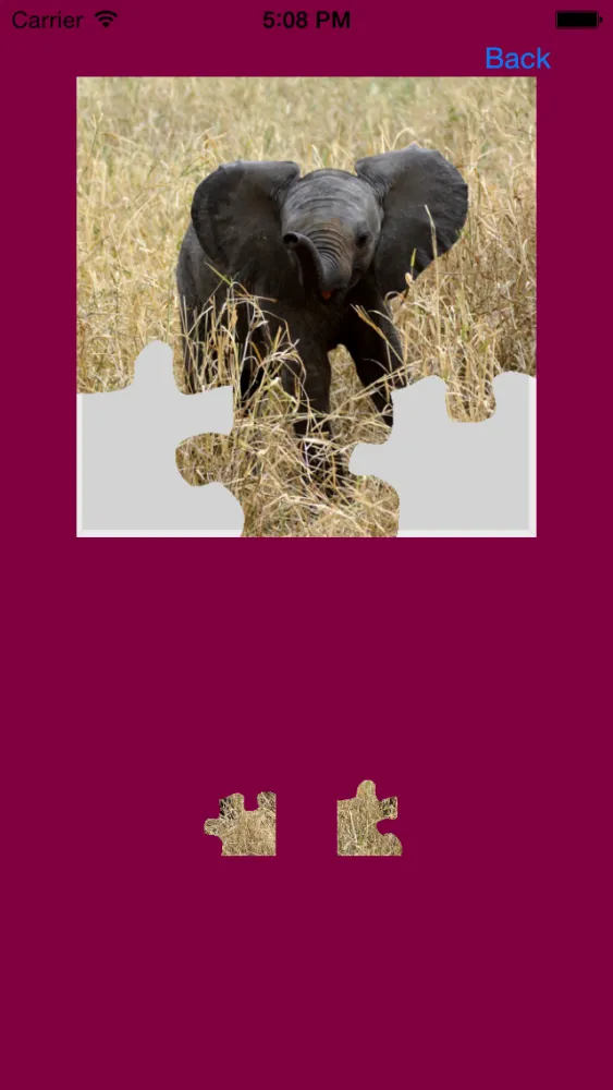 ภาพหน้าจอของ Safari Animals Jigsaw Puzzles