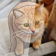 Tracing Paper Draw & Paint