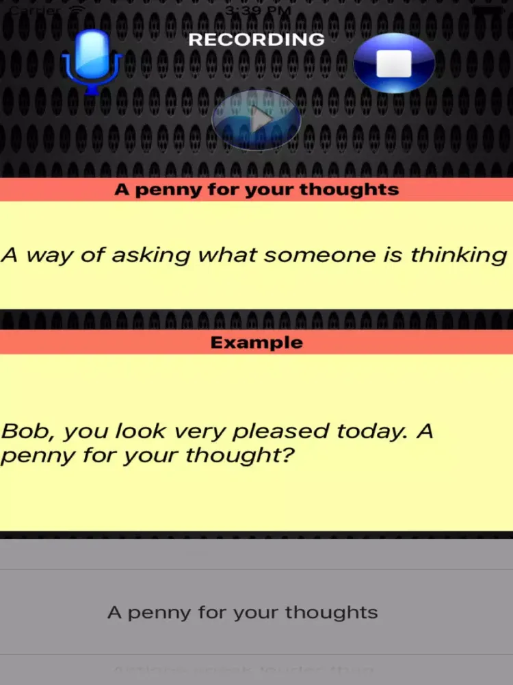 Conversational English Simulator - Everyday English Idioms and Expressions iPad 应用截图