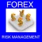 FOREX Trading Risk Manager