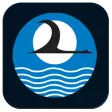 Bay Currents