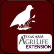 Northern Bobwhite Management Calendar Northern Bobwhite Management Calendar