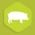 mHealth Swine