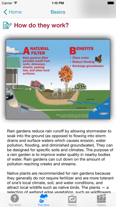 Ảnh chụp màn hình của Rain Garden