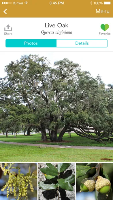 Trees: North & Central Florida স্ক্রিনশট