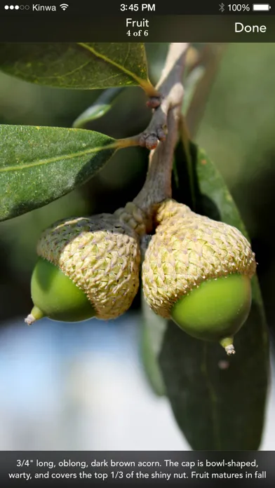Trees: North & Central Florida স্ক্রিনশট