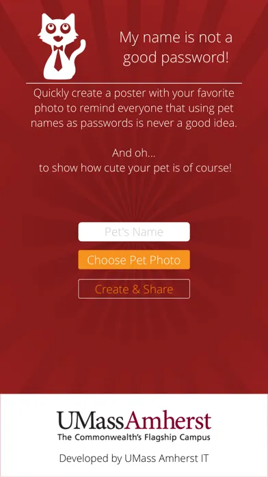 Screenshot di UMass Amherst Information Security Poster