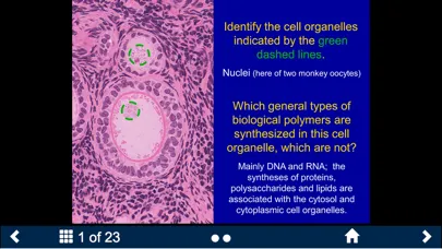 Histology - Basic Tissues سکرین شاٹس