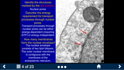 Histology - Basic Tissues سکرین شاٹس