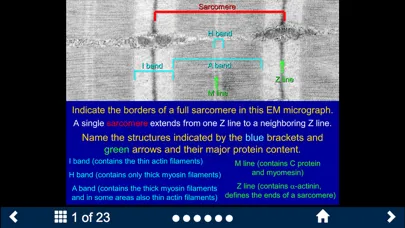 Histology - Basic Tissues سکرین شاٹس