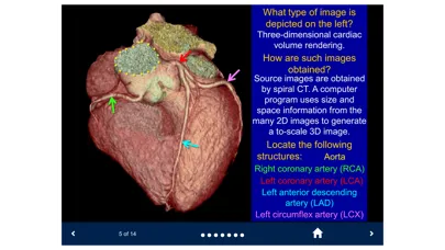 Ảnh chụp màn hình của Basic Radiology - SecondLook