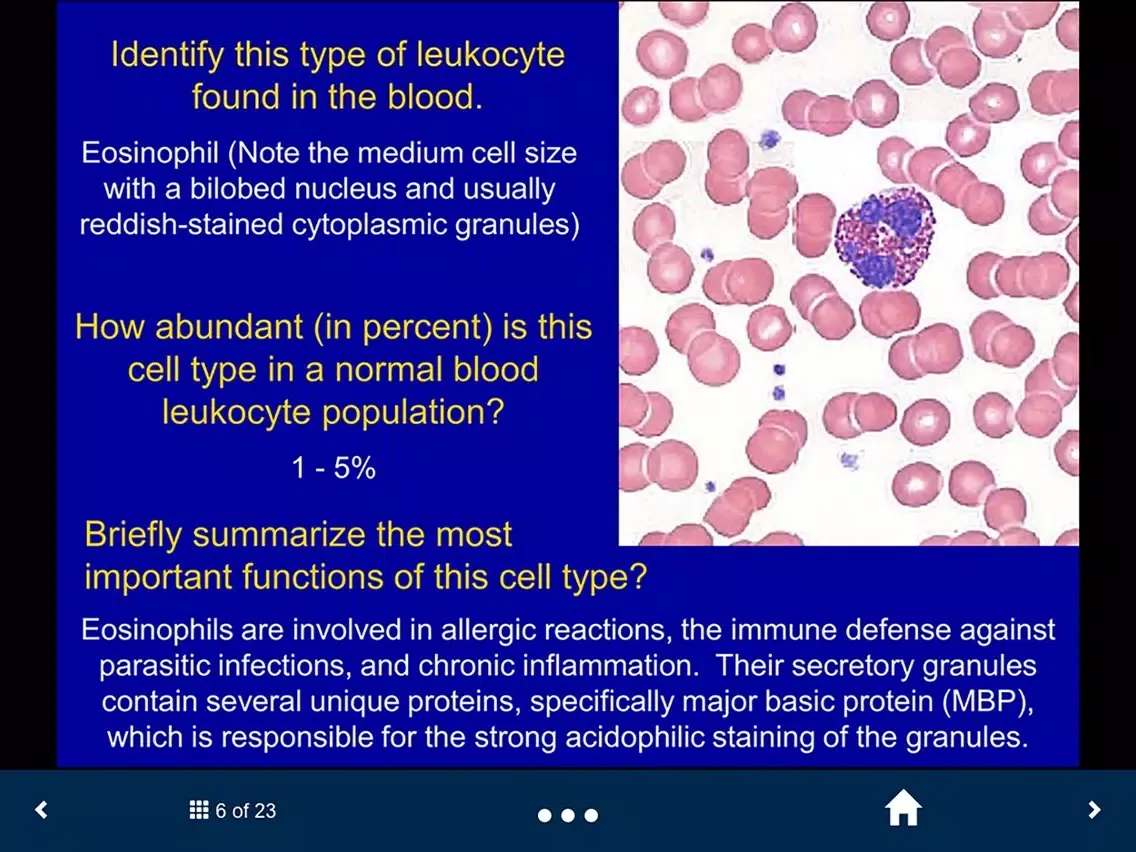ภาพหน้าจอของ Histology - Cardiovascular and Lymphatic System iPad 
