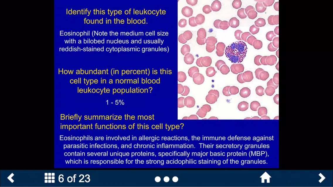 ภาพหน้าจอของ Histology - Cardiovascular and Lymphatic System