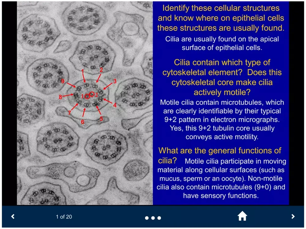 Histology Lite - SecondLook iPad  Screenshots