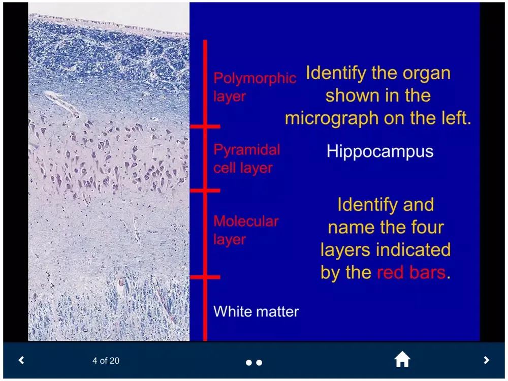 Histology Lite - SecondLook iPad  Screenshots