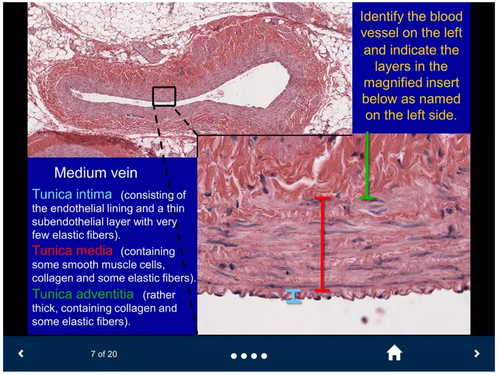 Histology Lite - SecondLook iPad  Screenshots