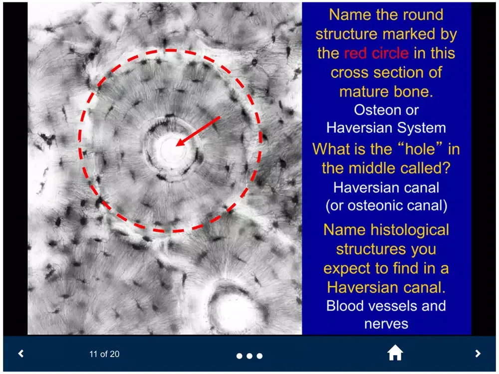 Histology Lite - SecondLook iPad  Screenshots