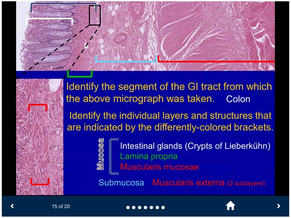 Histology Lite - SecondLook iPad  Screenshots