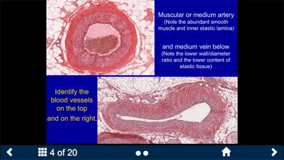 Histology Complete -SecondLook سکرین شاٹس