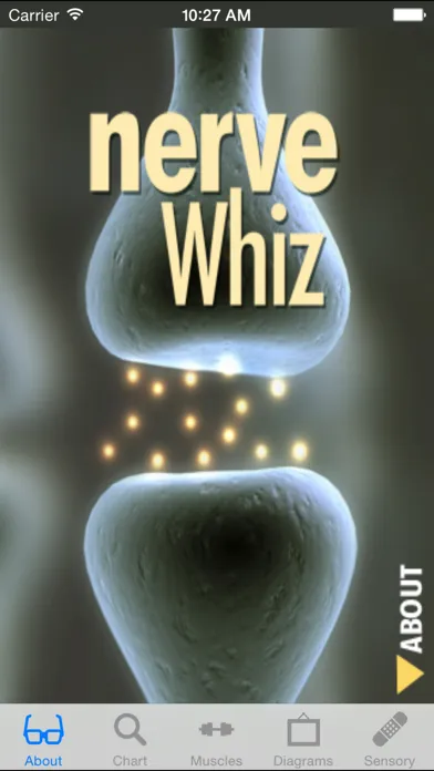 Captures d'écran de Nerve Whiz