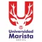 UMM Alumno