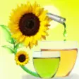 Biodiesel Simulation