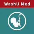 WashU Med OBGYN Guide WashU Med OBGYN Guide