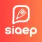 Siaep Professor