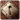 Spotlight: Room Escape