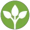 ForestMan